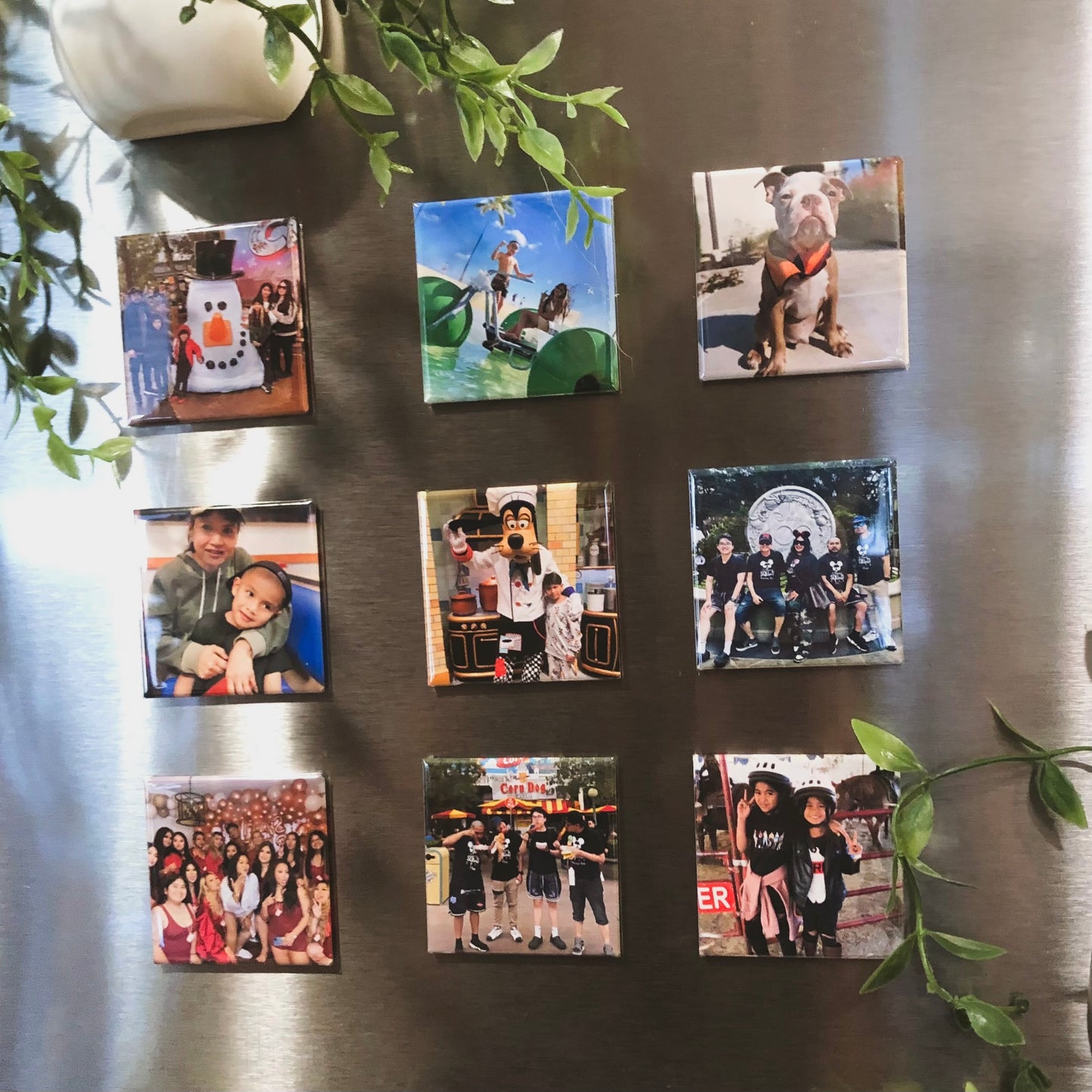 Photo Magnets (Set of 9)